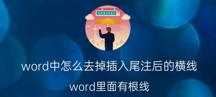 word中怎么去掉插入尾注后的横线 word里面有根线，怎么都去不掉？